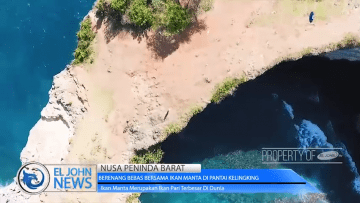 Screenshot_2020-05-14 Berenang Bebas Bersama Ikan Manta Di Pantai Kelingking_1 mp4