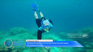 Screenshot_2020-05-15 Bersantai dan Berjemur di Tomini Bay, Rumah Terumbu Karang_1 mp4