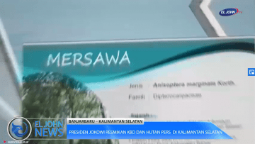 Screenshot_2020-05-25 Presiden Joko Widodo Resmikan KBD dan Hutan Pers Taman Spesies Endemik Indonesia di Kalimantan Selata[…]