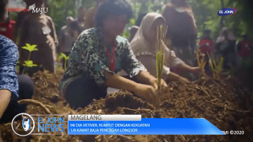 Screenshot_2020-05-26 Ini dia Vetiver, Rumput dengan Kekuatan 1-6 Kawat Baja Pencegah Longsor_1 mp4