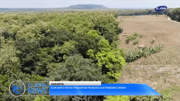 Screenshot_2020-06-10 KLHK Bantu Petani Tingkatkan Produksi Saat Pandemi Corona_1 mp4