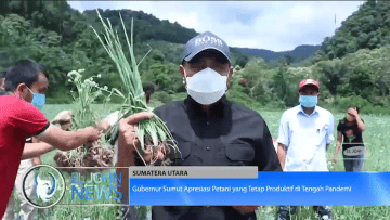 Screenshot_2020-06-25 Gubernur Sumut Apresiasi Petani yang Tetap Produktif di Tengah Pandemi-_1 mp4